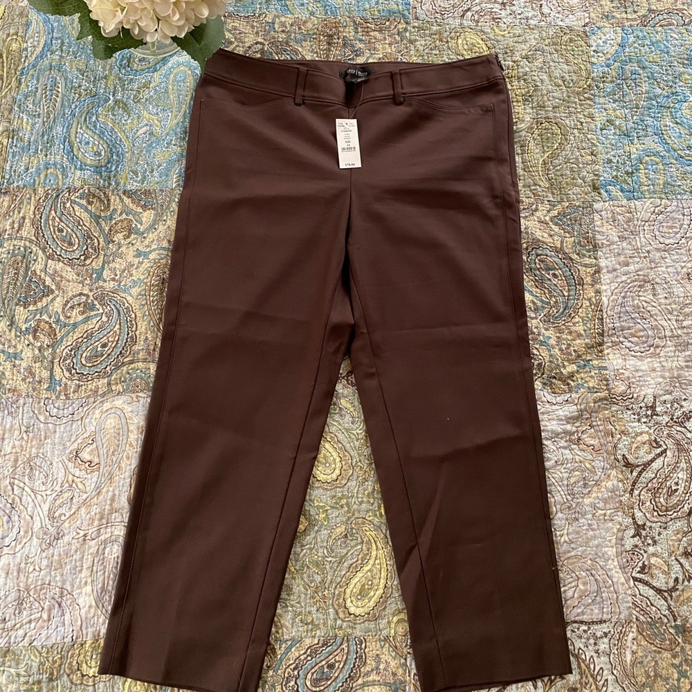 Chocolate brown ankle length side zip slacks.